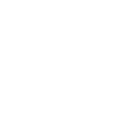 Saqr